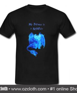 My Parronus Is A Nigth Ful'y T Shirt