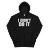 I Didnt Do It Hoodie