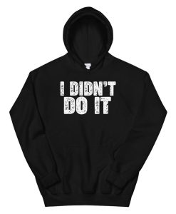 I Didnt Do It Hoodie