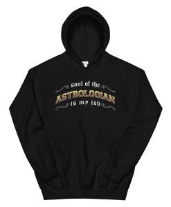 Astrologian Is My Job Fantasy Mmo Gamer Hoodie AA
