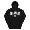 Delaware Sweatshirt Retro Vintage Delaware Hoodie AA