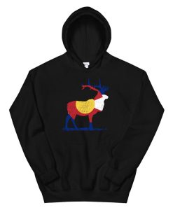 Colorado Flag Hoodie Sweatshirt Vintage Distressed Hoodie AA