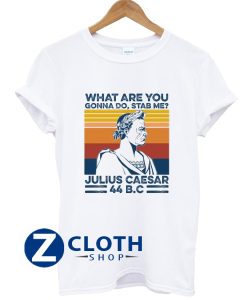 What Are You Gonna Do Stab Me Julius Caesar Vintage Shirt T-Shirt AA