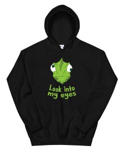 Chameleon Funny Look Itno My Eyes Chamaeleonidae Hoodie AA